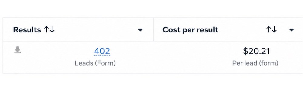Meta Ads Manager: 402 leads at $20.21 per lead