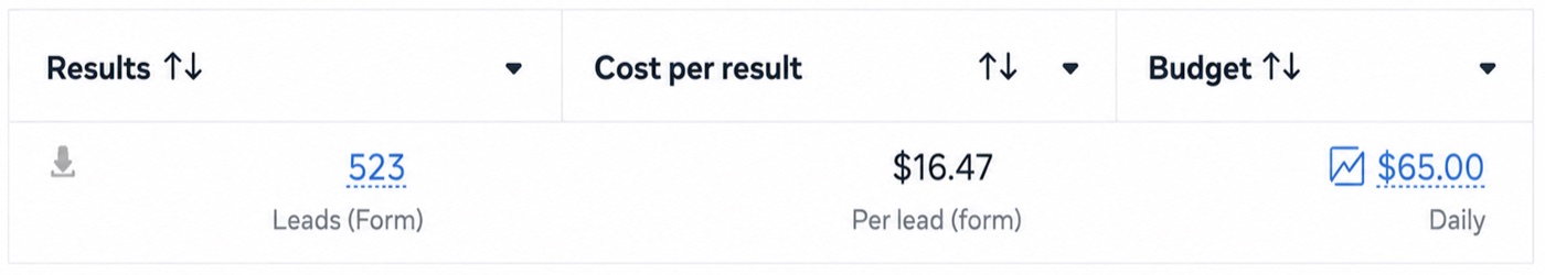 Meta Ads Manager: 523 leads at $16.47 per lead